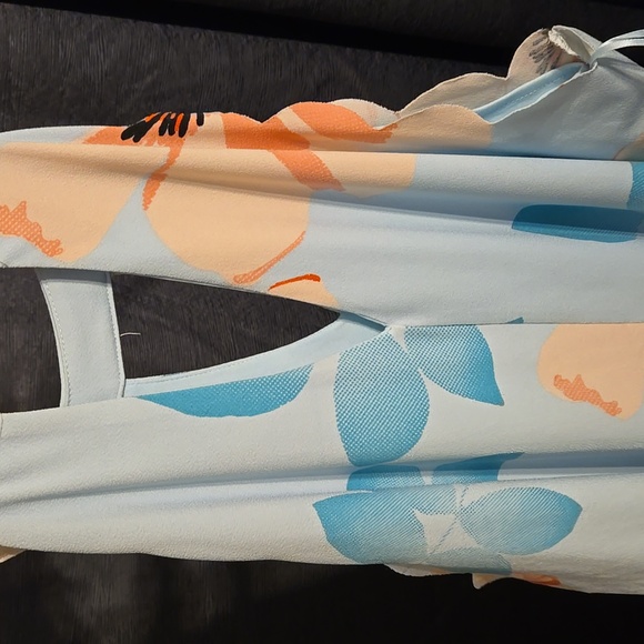 Candie's Dress - Picture 8 of 10